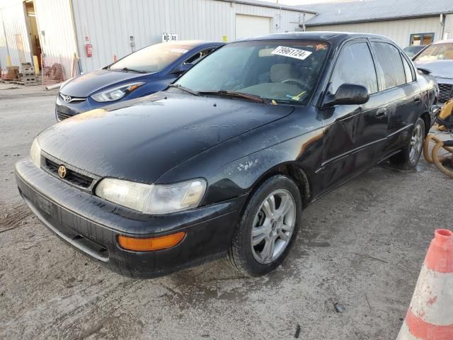 1996 Toyota Corolla DX