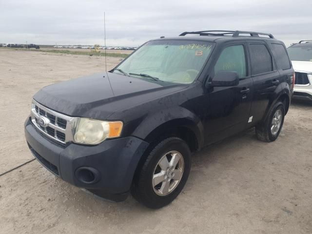 2010 Ford Escape XLT