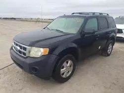 Ford Vehiculos salvage en venta: 2010 Ford Escape XLT