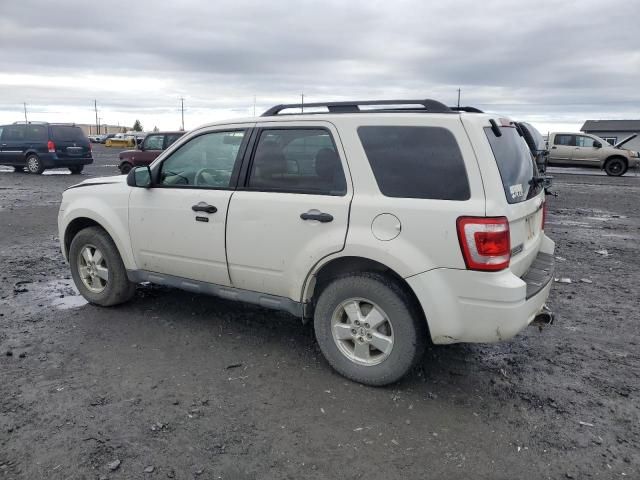 2009 Ford Escape XLT