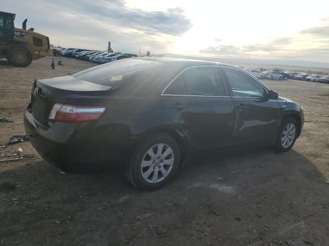 2007 Toyota Camry Hybrid