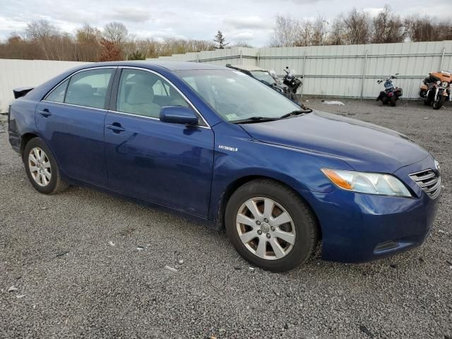 2009 Toyota Camry Hybrid