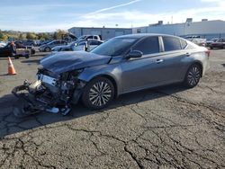 Salvage cars for sale at Vallejo, CA auction: 2023 Nissan Altima SV