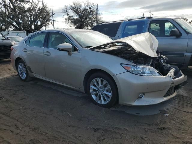 2014 Lexus ES 300H