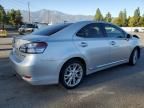 2010 Lexus HS 250H