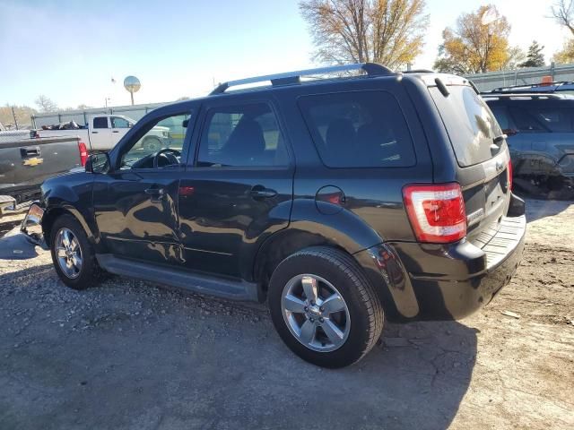 2011 Ford Escape Limited