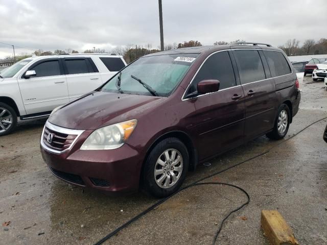 2010 Honda Odyssey EXL