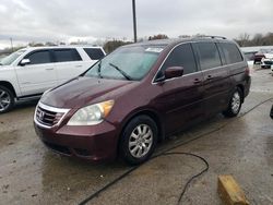 Salvage cars for sale at Louisville, KY auction: 2010 Honda Odyssey EXL