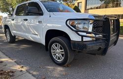 Salvage cars for sale from Copart Oklahoma City, OK: 2019 Toyota Tundra Crewmax SR5