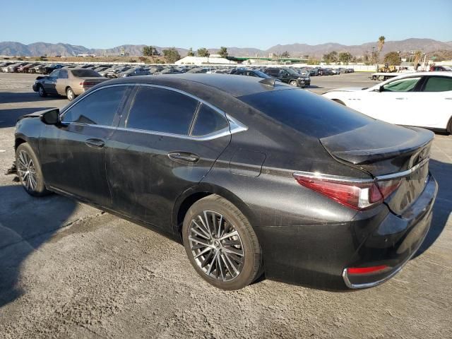 2024 Lexus ES 300H Base