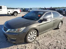 Salvage cars for sale at Houston, TX auction: 2013 Honda Accord EXL