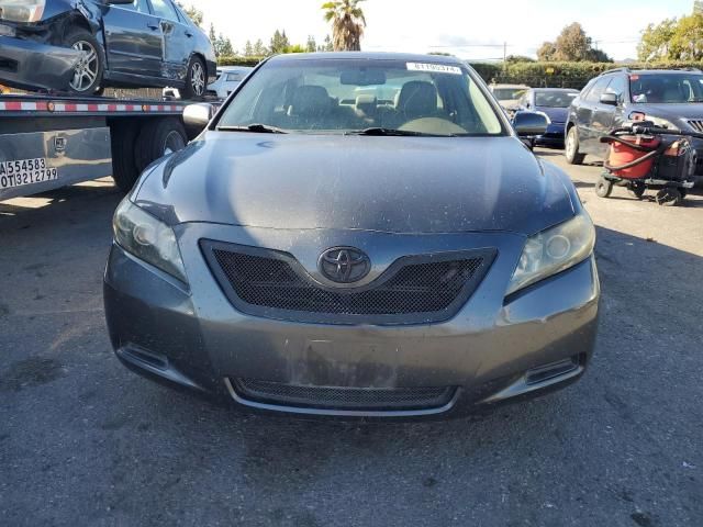 2009 Toyota Camry Hybrid