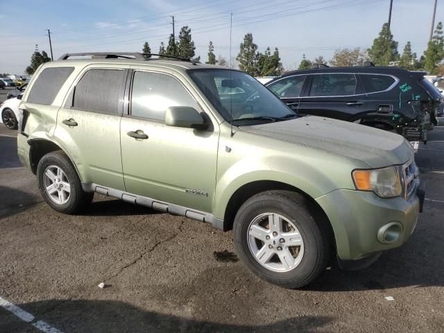 2008 Ford Escape HEV