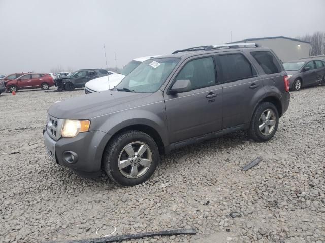 2011 Ford Escape Limited