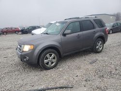 Ford Vehiculos salvage en venta: 2011 Ford Escape Limited