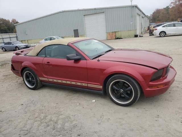 2005 Ford Mustang