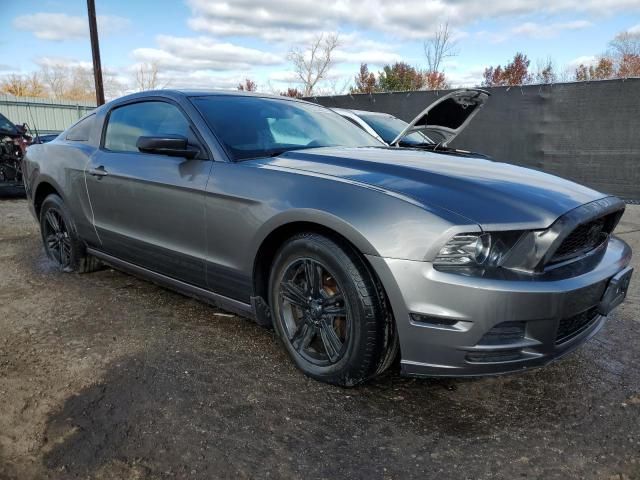 2013 Ford Mustang