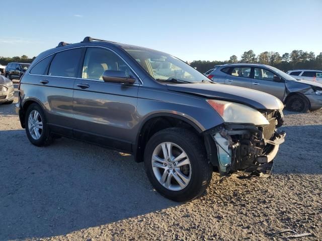 2010 Honda CR-V EXL