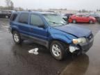 2007 Ford Escape XLT