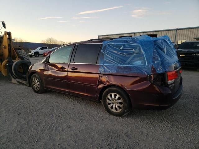 2010 Honda Odyssey EXL