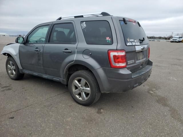 2011 Ford Escape Limited