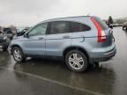 2010 Honda CR-V EXL