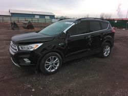 Salvage cars for sale at Dyer, IN auction: 2019 Ford Escape SEL