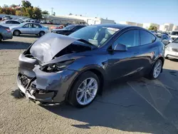 2021 Tesla Model Y en venta en Martinez, CA