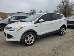 Ford Vehiculos salvage en venta: 2013 Ford Escape SE