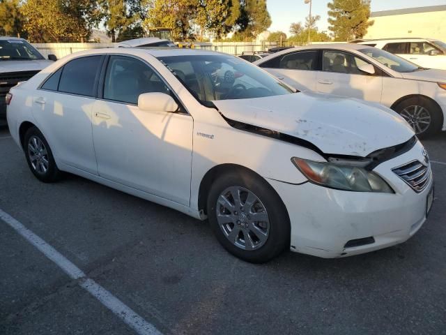 2009 Toyota Camry Hybrid