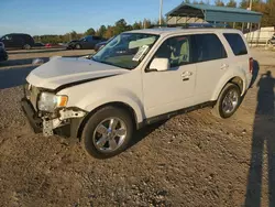 Salvage cars for sale from Copart Memphis, TN: 2012 Ford Escape Limited