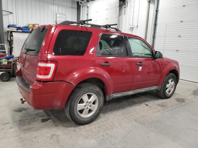 2009 Ford Escape XLT