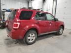 2009 Ford Escape XLT