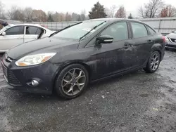 2014 Ford Focus SE en venta en Grantville, PA