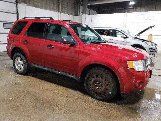 2010 Ford Escape XLT