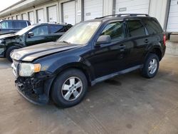 Vehiculos salvage en venta de Copart Louisville, KY: 2009 Ford Escape XLT