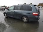 2005 Honda Odyssey EX