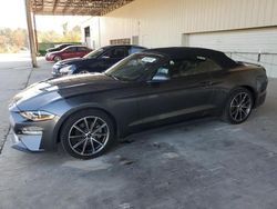 Muscle Cars for sale at auction: 2019 Ford Mustang