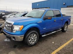 Salvage cars for sale at Woodhaven, MI auction: 2013 Ford F150 Supercrew