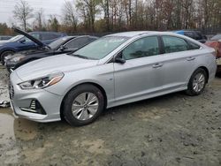 Salvage cars for sale at Waldorf, MD auction: 2019 Hyundai Sonata Hybrid