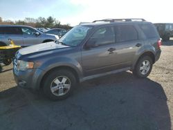 Ford Escape salvage cars for sale: 2010 Ford Escape XLT