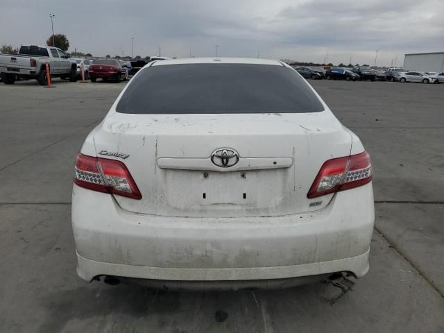 2010 Toyota Camry Base