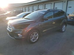 2018 Ford Escape SEL en venta en Louisville, KY