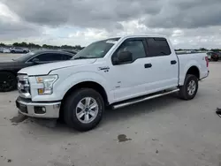 Salvage trucks for sale at Homestead, FL auction: 2017 Ford F150 Supercrew