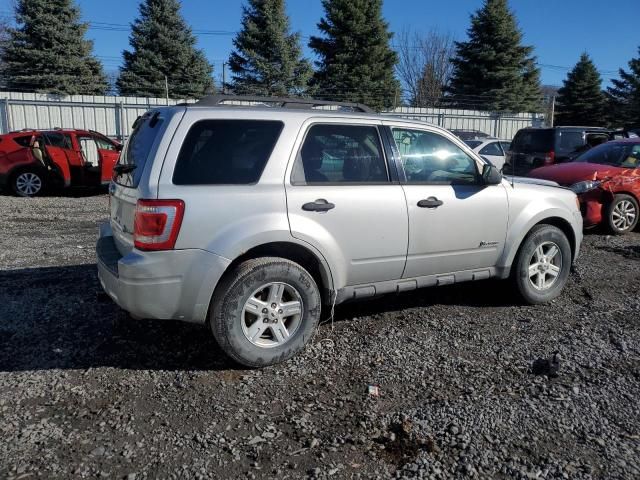 2009 Ford Escape Hybrid