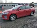 2019 Hyundai Ioniq Blue