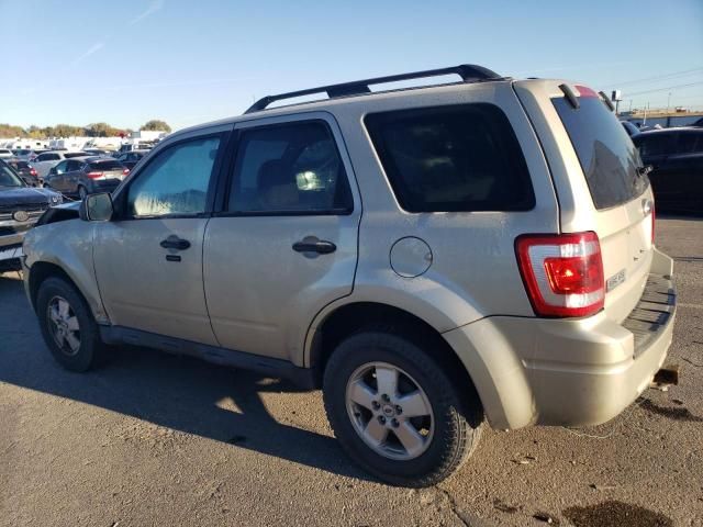 2011 Ford Escape XLT