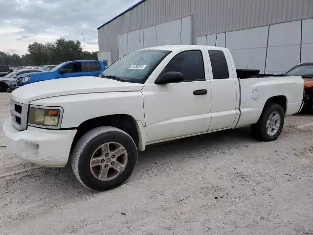 2009 Dodge Dakota SXT