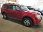 2009 Ford Escape XLT