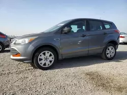 Salvage cars for sale at San Diego, CA auction: 2014 Ford Escape S